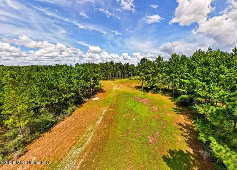 Wire Road, Vancleave, MS 39565 photo 11
