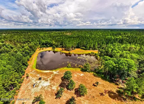 Wire Road, Vancleave, MS 39565 photo 10