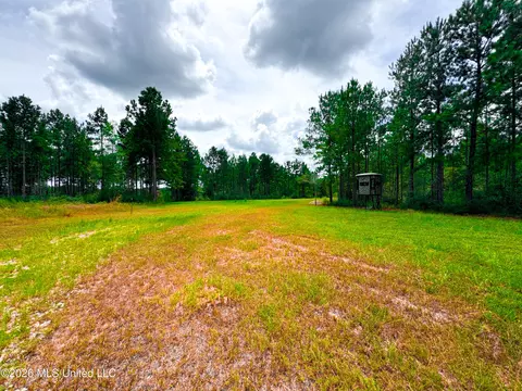 Wire Road, Vancleave, MS 39565 photo 24