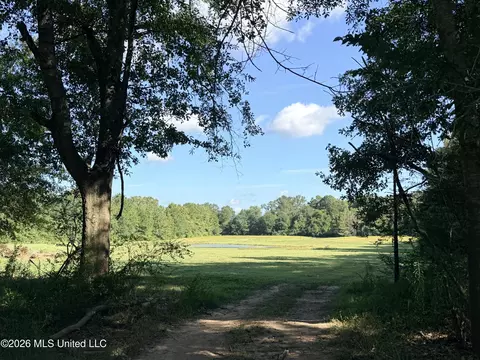 232 Renfroe Rd, Canton, MS 39046 photo 18