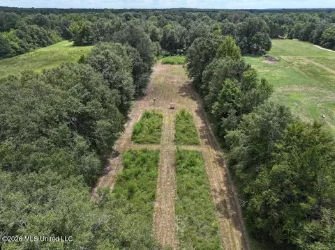 232 Renfroe Rd, Canton, MS 39046 photo 39