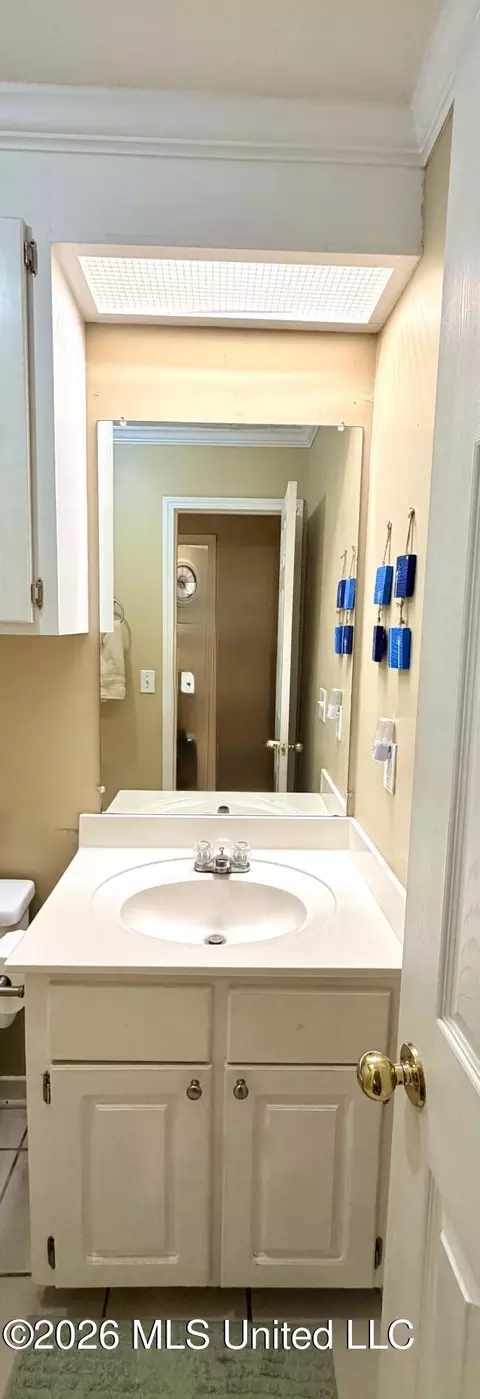 Bath - 1008 Stonehendge Dr, Brandon, MS 39042 photo 3 of 4