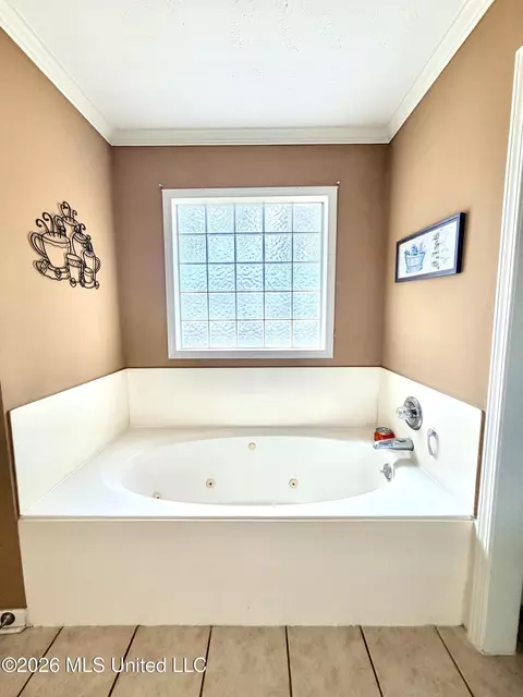 Bath - 1008 Stonehendge Dr, Brandon, MS 39042 photo 2 of 4