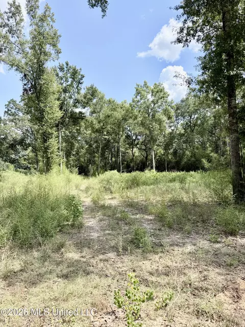 Hwy 63, Moss Point, MS 39562 photo 3