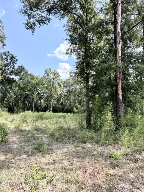 Hwy 63, Moss Point, MS 39562 photo 2