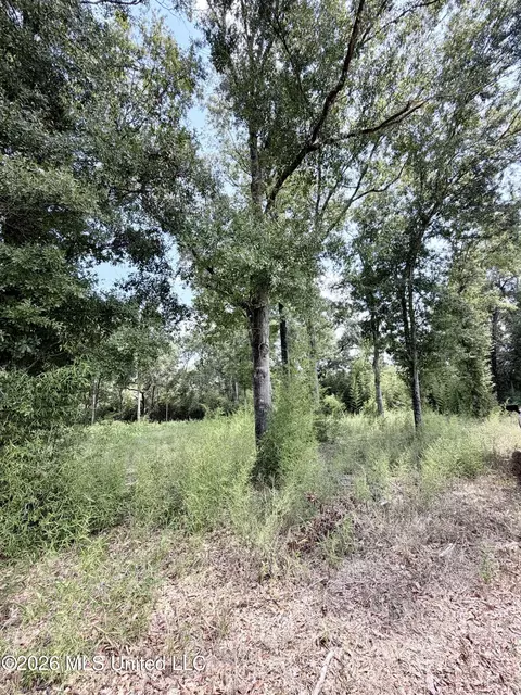 Hwy 63, Moss Point, MS 39562 photo 4