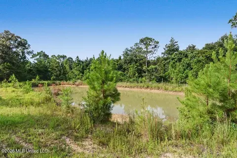View/Area - 20915 Busby Rd, Vancleave, MS 39565 photo 1 of 2