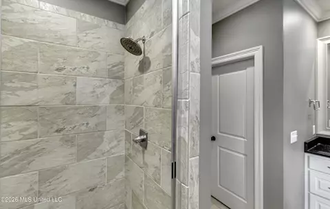 Bath - 189 Stone Creek Dr, Madison, MS 39110 photo 8 of 11