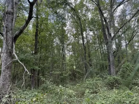 Brewer Drive, Forest, MS 39074 photo 6