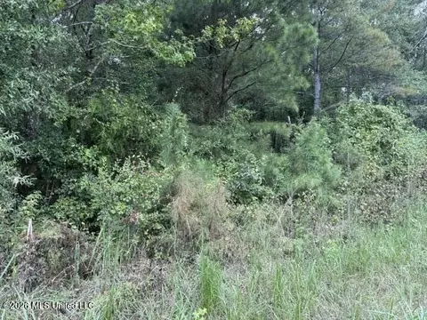 Brewer Drive, Forest, MS 39074 photo 7