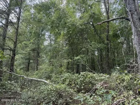 Brewer Drive, Forest, MS 39074 photo 5