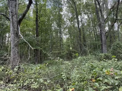 Brewer Drive, Forest, MS 39074 photo 4