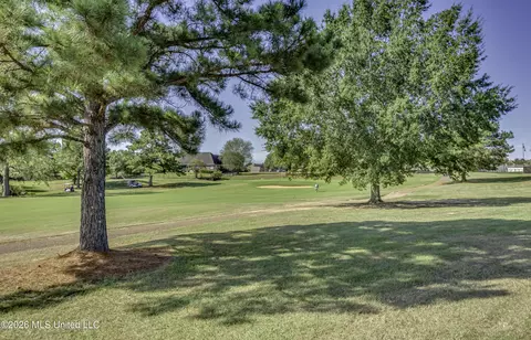 Other - 504 Wildberry Dr, Pearl, MS 39208 photo 21 of 21