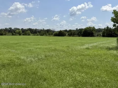 0 Brewer Dr, Forest, MS 39074 photo 12