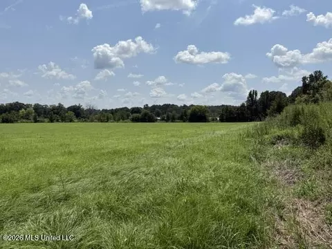 0 Brewer Dr, Forest, MS 39074 photo 9