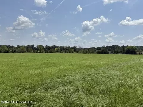 0 Brewer Dr, Forest, MS 39074 photo 10