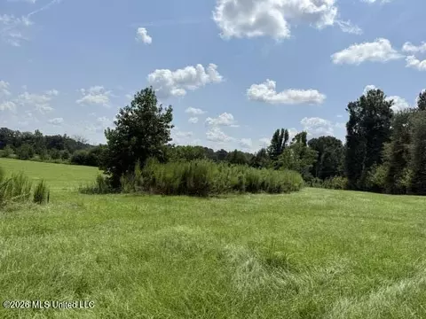 0 Brewer Dr, Forest, MS 39074 photo 11