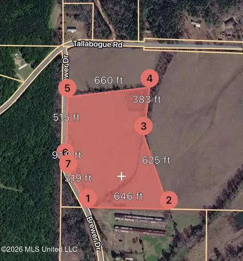 0 Brewer Dr, Forest, MS 39074 photo 2