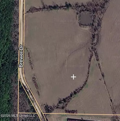 0 Brewer Dr, Forest, MS 39074 photo 3