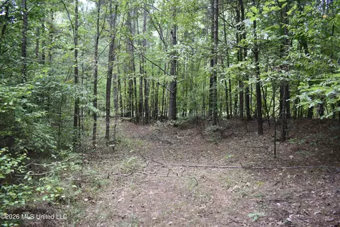 700 Front Rd, Bolivar, TN 38725 photo 15