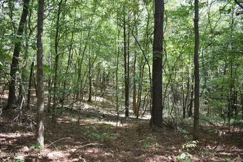 700 Front Rd, Bolivar, TN 38725 photo 10