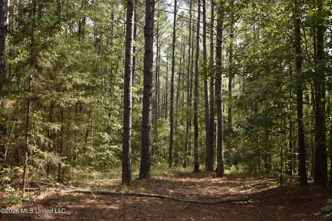 700 Front Rd, Bolivar, TN 38725 photo 23