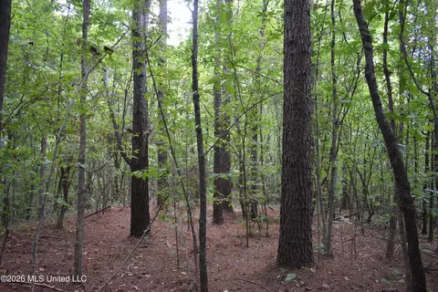 700 Front Rd, Bolivar, TN 38725 photo 13
