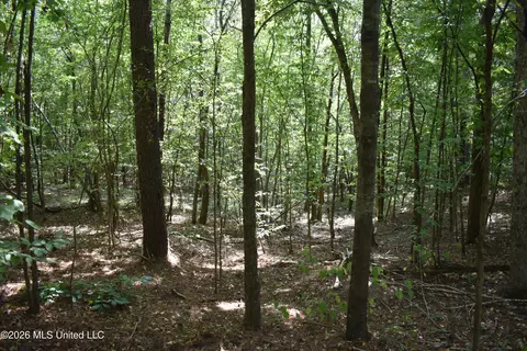 700 Front Rd, Bolivar, TN 38725 photo 8