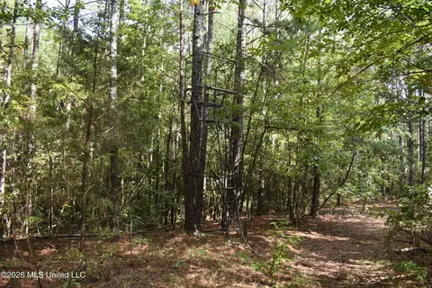 700 Front Rd, Bolivar, TN 38725 photo 24