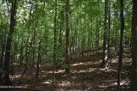 700 Front Rd, Bolivar, TN 38725 photo 20