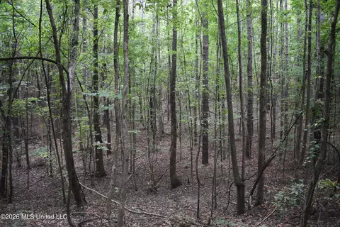 700 Front Rd, Bolivar, TN 38725 photo 11