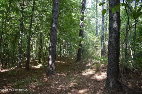 700 Front Rd, Bolivar, TN 38725 photo 9