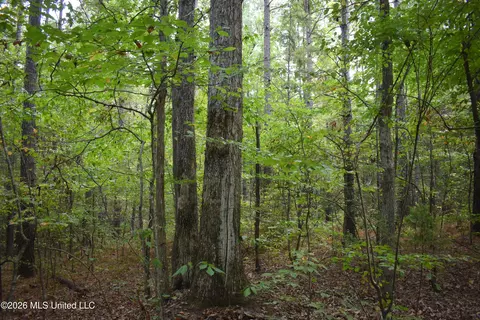 700 Front Rd, Bolivar, TN 38725 photo 17
