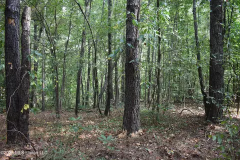 700 Front Rd, Bolivar, TN 38725 photo 6