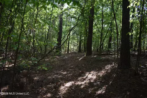 700 Front Rd, Bolivar, TN 38725 photo 26