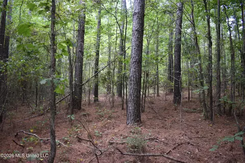 700 Front Rd, Bolivar, TN 38725 photo 14