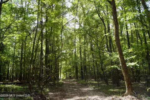 Johns Shiloh Road, Brandon, MS 39042 photo 76