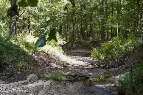 Johns Shiloh Road, Brandon, MS 39042 photo 83
