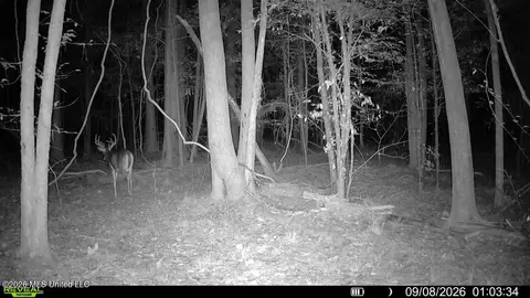 Johns Shiloh Road, Brandon, MS 39042 photo 127