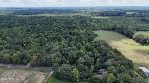 Johns Shiloh Road, Brandon, MS 39042 photo 102