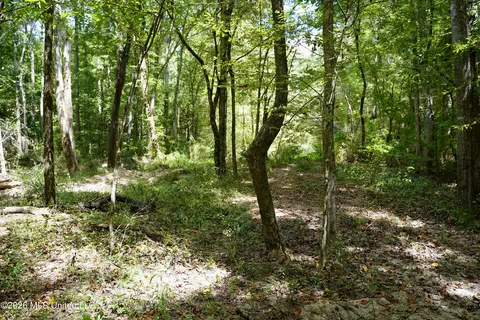 Johns Shiloh Road, Brandon, MS 39042 photo 45