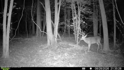 Johns Shiloh Road, Brandon, MS 39042 photo 124
