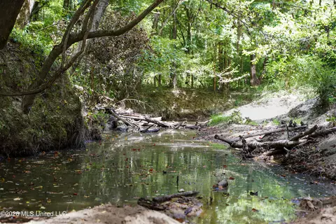 Johns Shiloh Road, Brandon, MS 39042 photo 84
