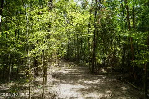 Johns Shiloh Road, Brandon, MS 39042 photo 79