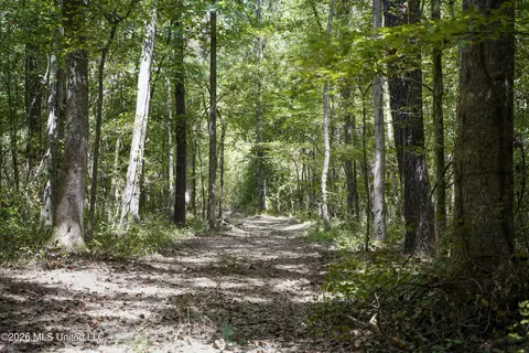 Johns Shiloh Road, Brandon, MS 39042 photo 7