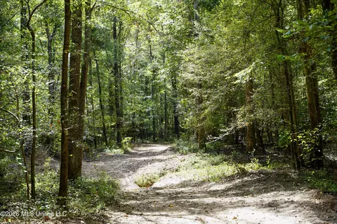 Johns Shiloh Road, Brandon, MS 39042 photo 13