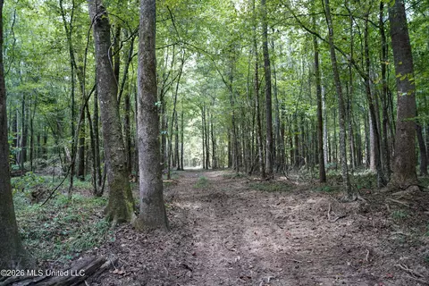 Johns Shiloh Road, Brandon, MS 39042 photo 65