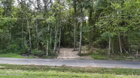 Johns Shiloh Road, Brandon, MS 39042 photo 118