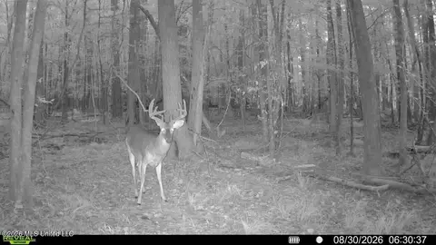 Johns Shiloh Road, Brandon, MS 39042 photo 125