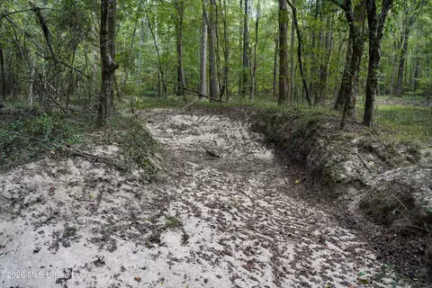 Johns Shiloh Road, Brandon, MS 39042 photo 28